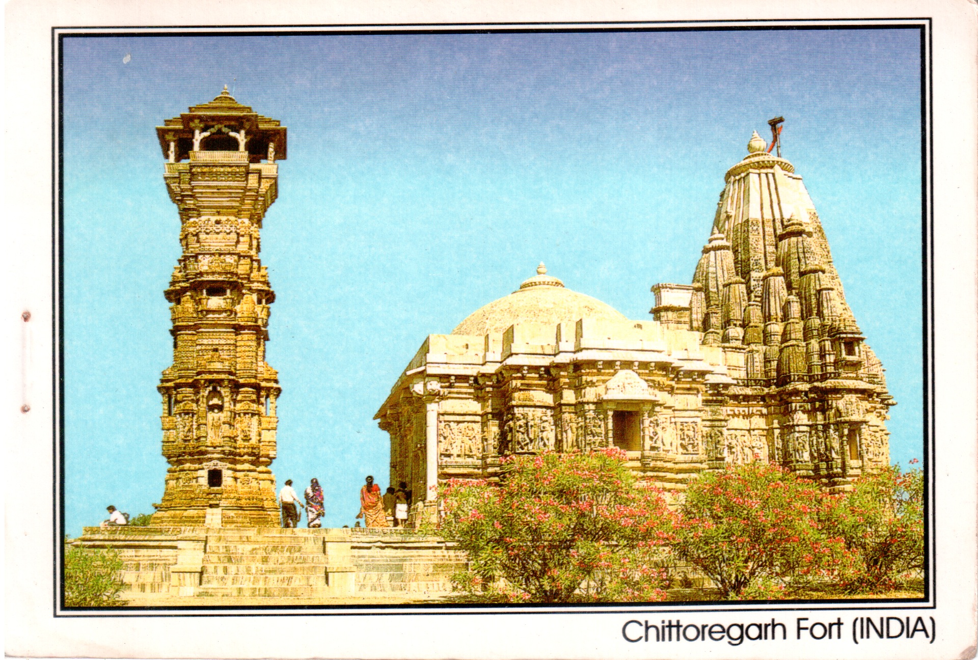 Chittorgarh durg Greeting Card by Devendra Vishwakarma